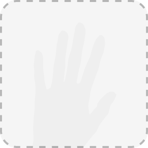 Image Hand